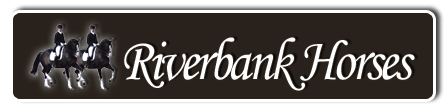 Riverbank Horses - Riverbank Stable